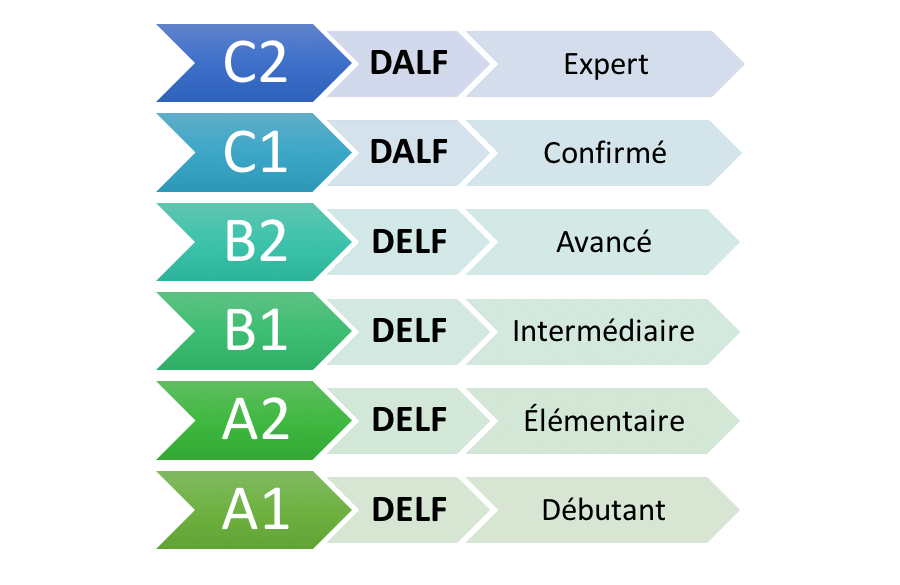 niveaux du cecrl