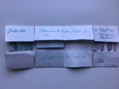 IMG_0110_original