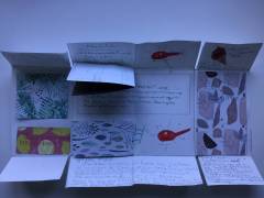IMG_0111_original