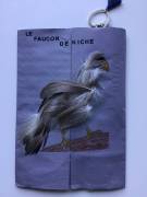 IMG_0113_original