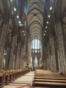 IMG_20221206_124119_original