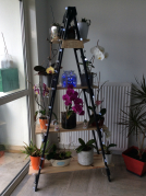ximg_8460_copy_1_copy_1_copy_1