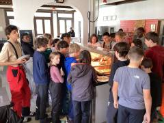 IMG_0132_original_copy_1