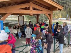 IMG_0177_original