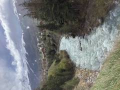 IMG_0186_original