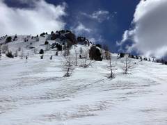IMG_0203_original