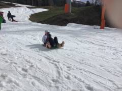 IMG_0136_original