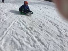 IMG_0137_original