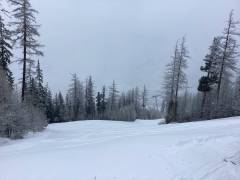 IMG_0297_original