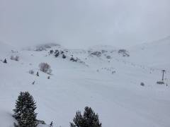 IMG_0311_original