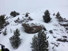 IMG_0312_original