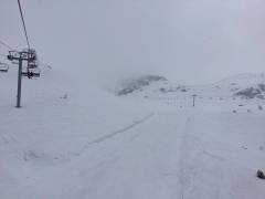 IMG_0313_original
