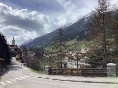 IMG_0325_original