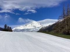 IMG_0387_original