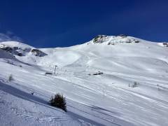 IMG_0392_original