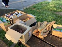 IMG_04481_original