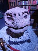 IMG_20250519_155035-min_original