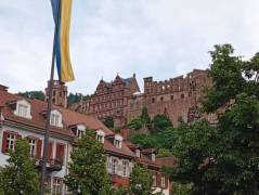 IMG_20250521_181938-min_original