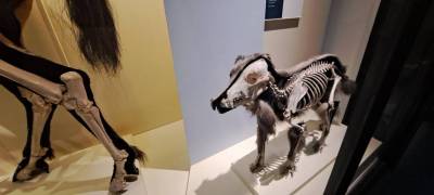 1000121985_original_copy_1