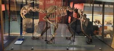 1000121994_original_copy_1