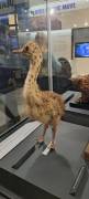 1000122013_original_copy_1