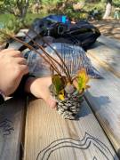 IMG_8124_original
