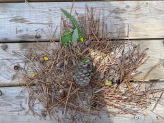 IMG_8128_original