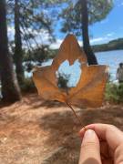 IMG_8139_original