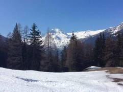 IMG_1931-JPG_original