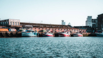 Sortie au port de pêche 4è2 