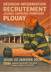 Réunion relative au recrutement des "jeunes sapeurs-pompiers"